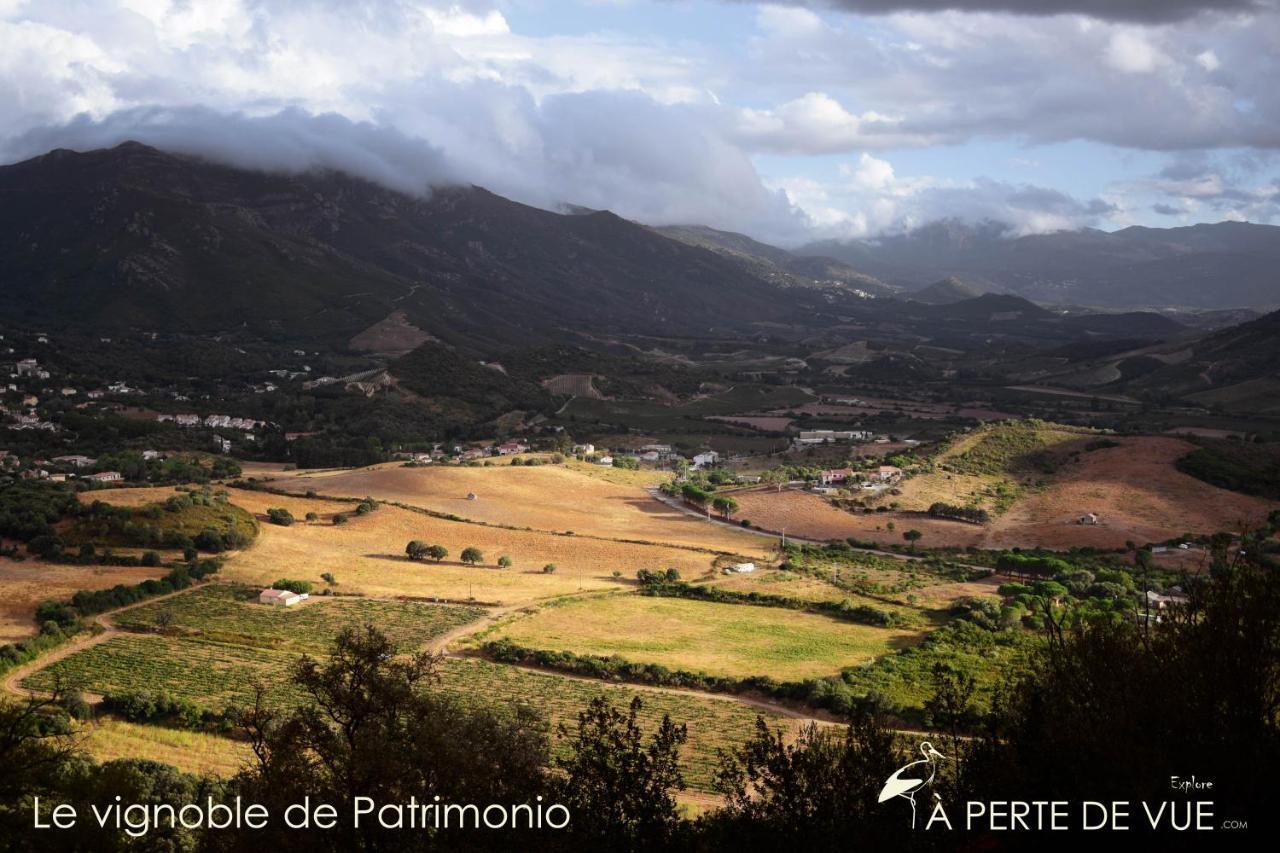 Chambre D'Hotes A 5Mn Des Plages Patrimonio Buitenkant foto
