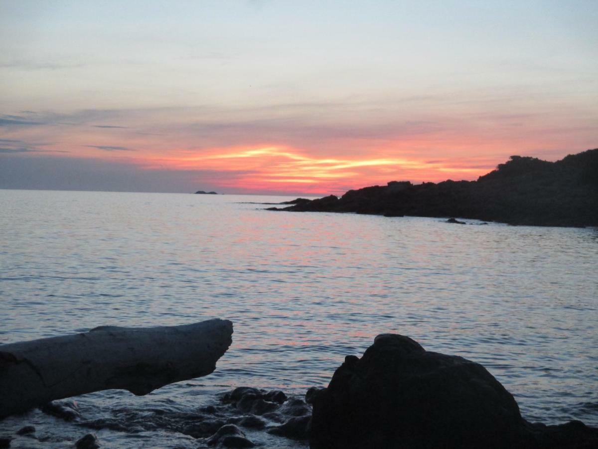 Chambre D'Hotes A 5Mn Des Plages Patrimonio Buitenkant foto