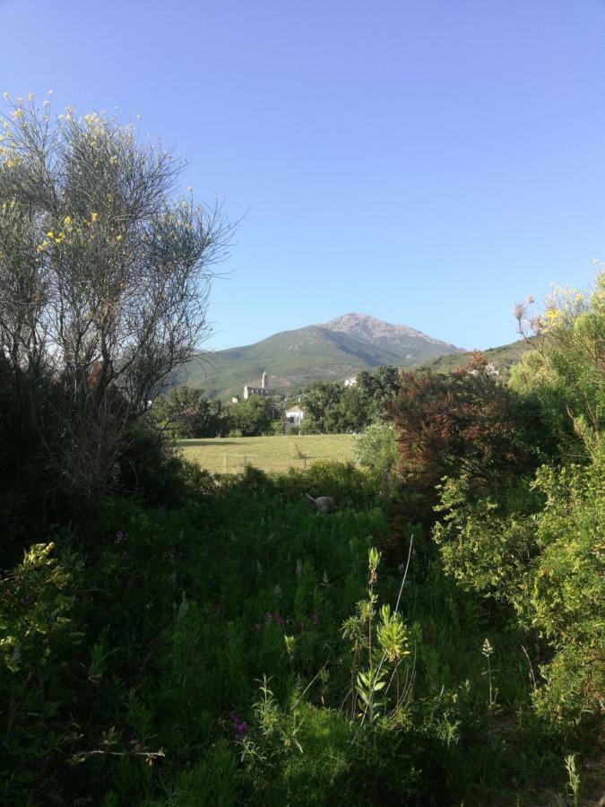 Chambre D'Hotes A 5Mn Des Plages Patrimonio Buitenkant foto